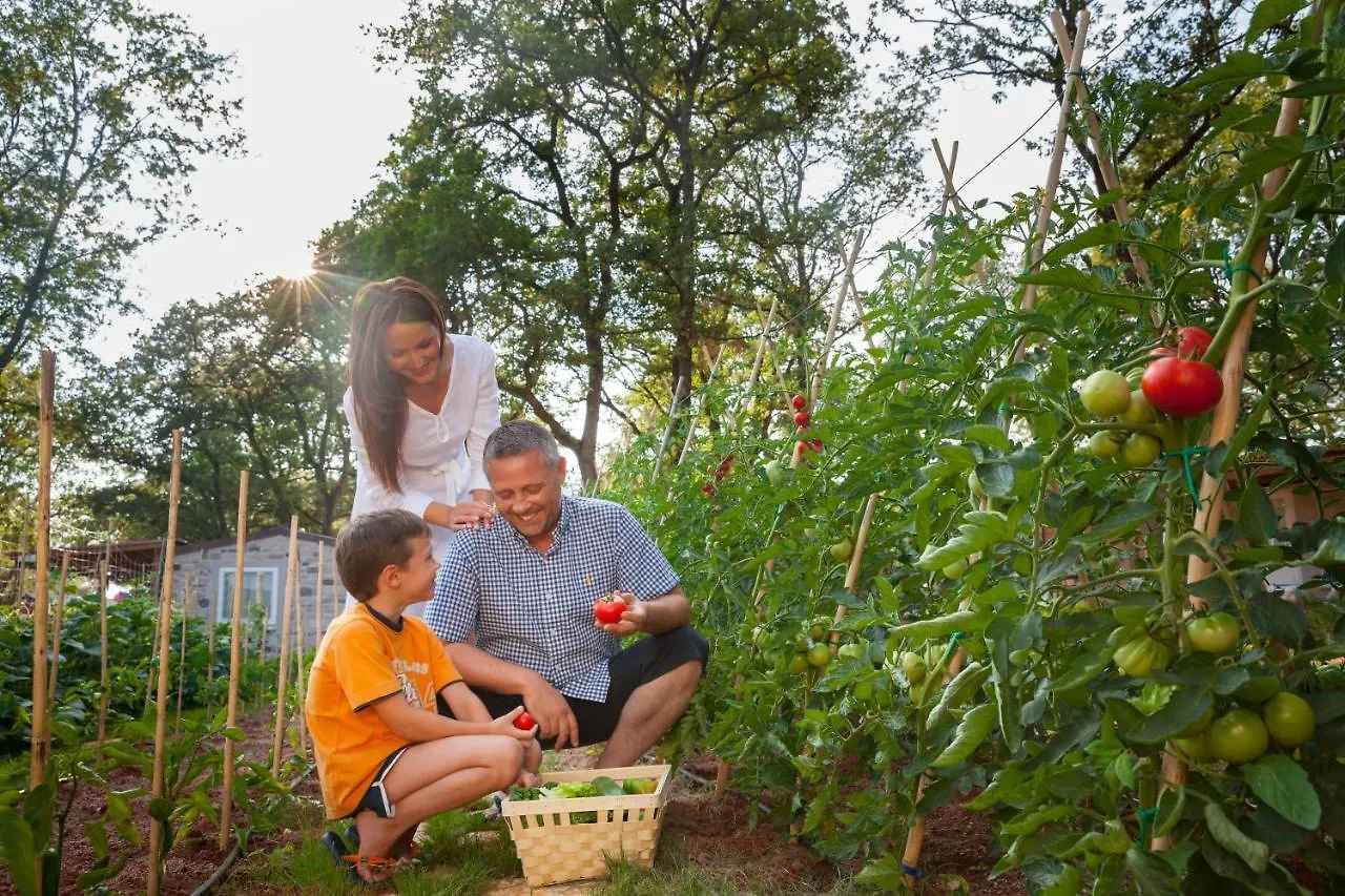 Vakantiepark Istrian Premium Village Holiday Homes Novigrad Istria