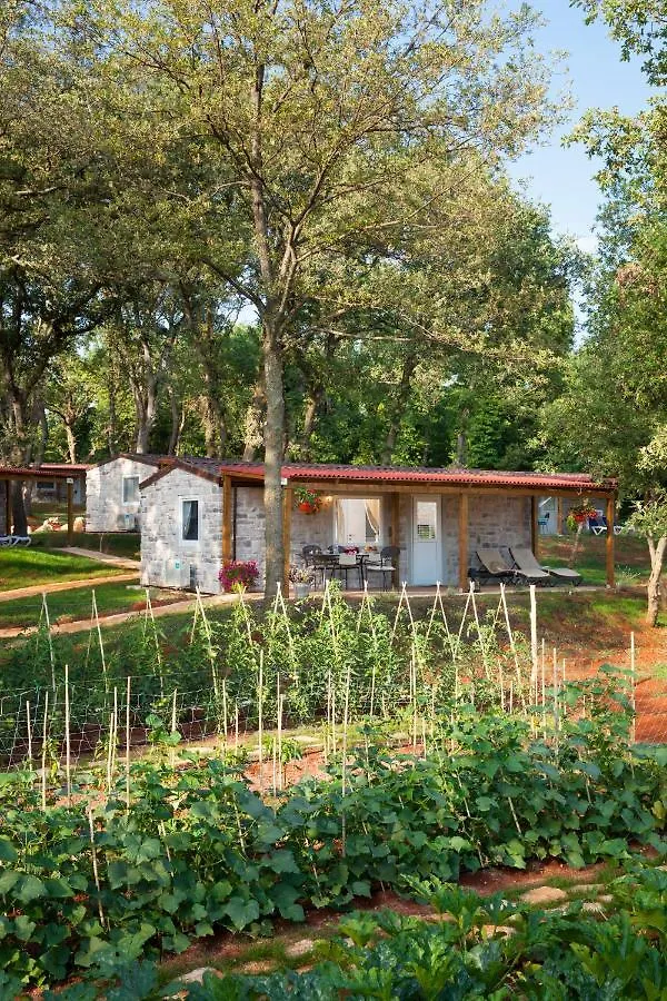 **** Parco vacanze Istrian Premium Village Holiday Homes Novigrad Istria Croazia
