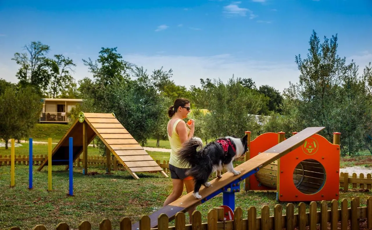 Istrian Premium Village Holiday Homes Novigrad Istria